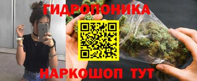 гидра Бийск