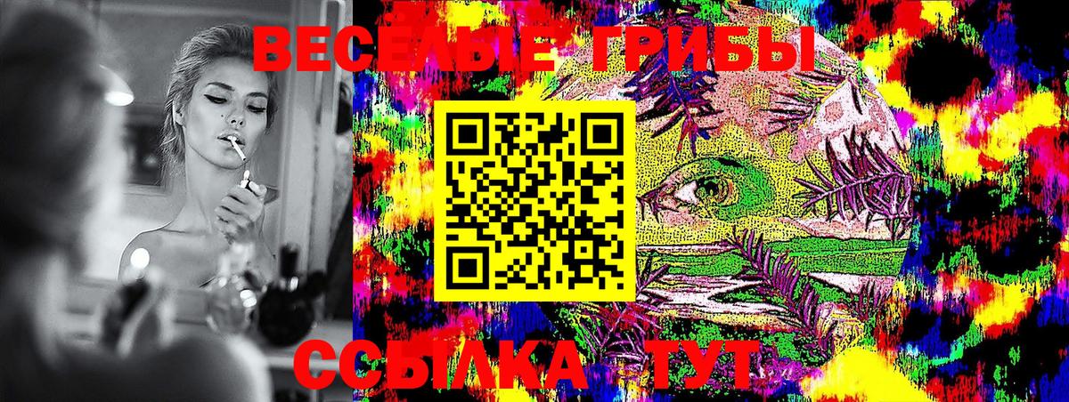 Кинель  Галлюциногенные грибы Psilocybine cubensis  Вход с VPN 