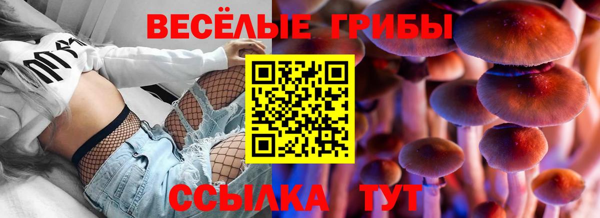 Псилоцибиновые грибы Magic Shrooms Кинель