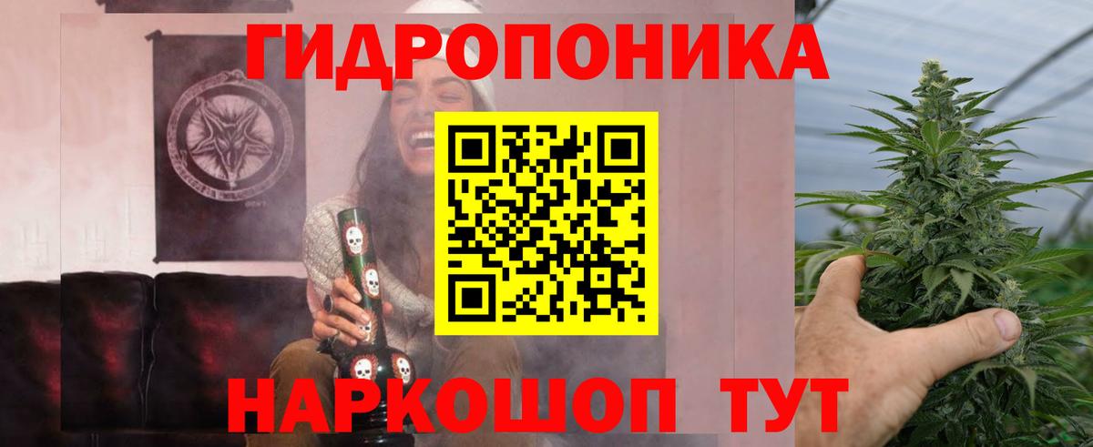 Конопля сатива Кинель